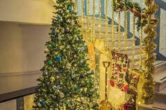 Town Hall Christmas 2018 6